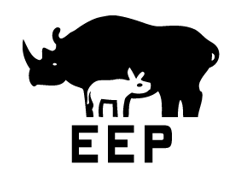 EEP