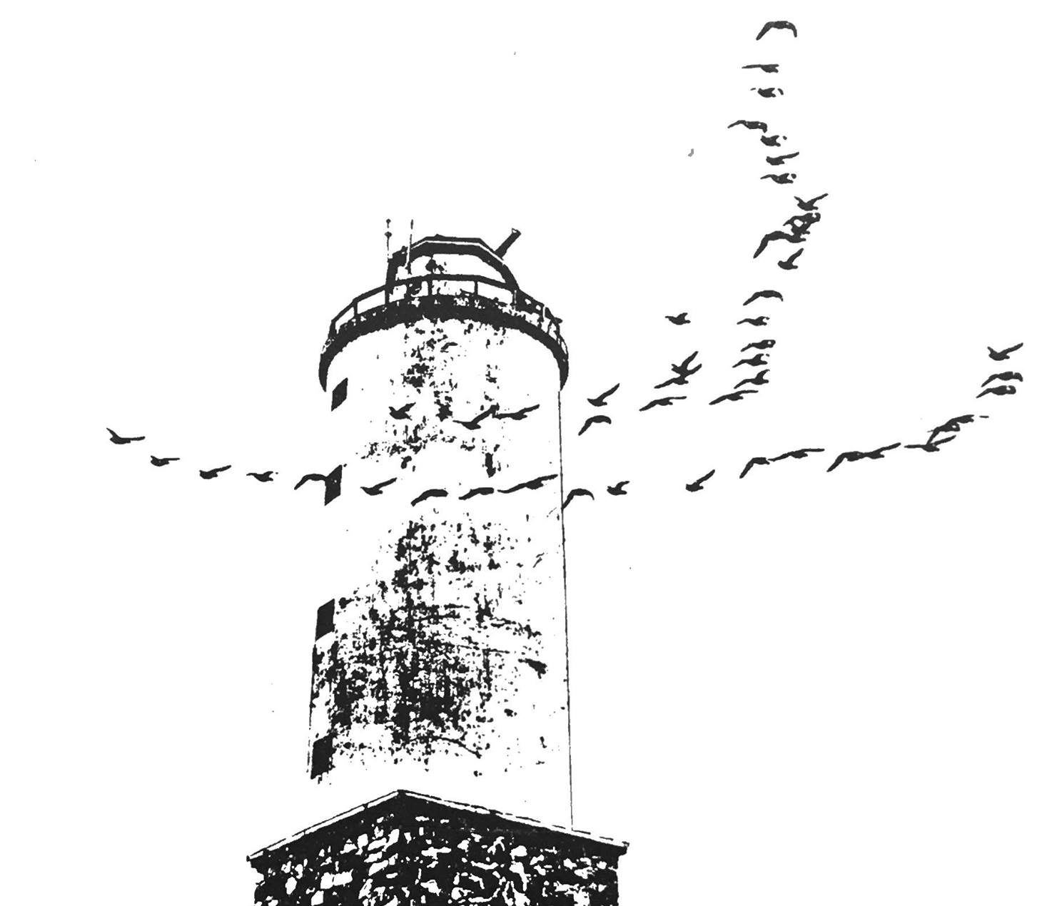 Rönnskär Bird Station