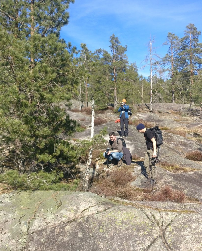 Looking for the only venomous snake in Finland!
Nuuksio National Park (Finland), April 2026