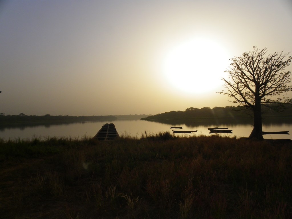Como a genética da conservação pode ajudar a proteger a extraordinária biodiversidade&nbsp;africana