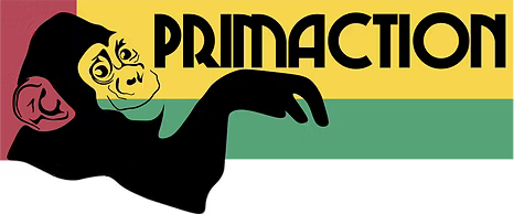 PRIMACTION